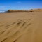 Stationary antidune bedforms on the foreshore of the beach