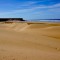 The backshore dominated by eolian barchan dunes