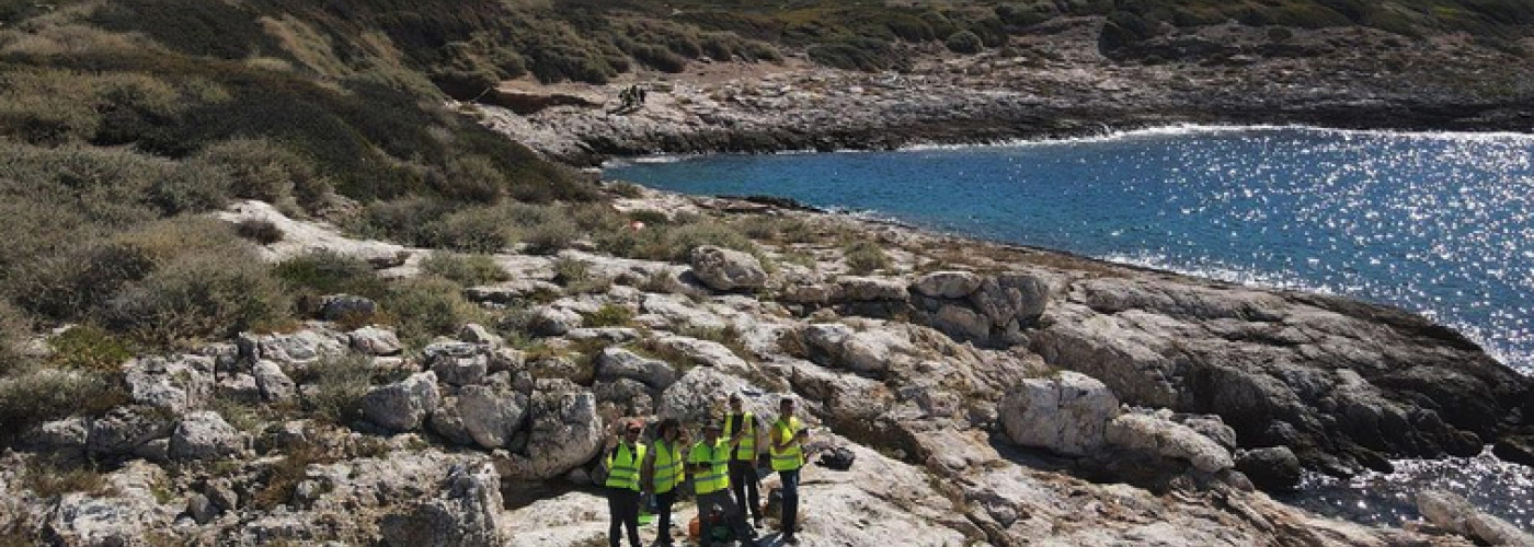 geomorfologia costiera image